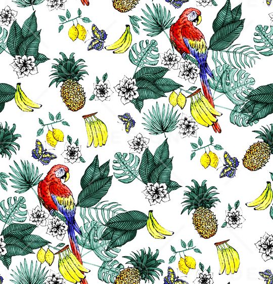 鹦鹉印花华亿平台图片