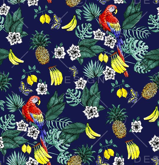 鹦鹉印花华亿平台图片