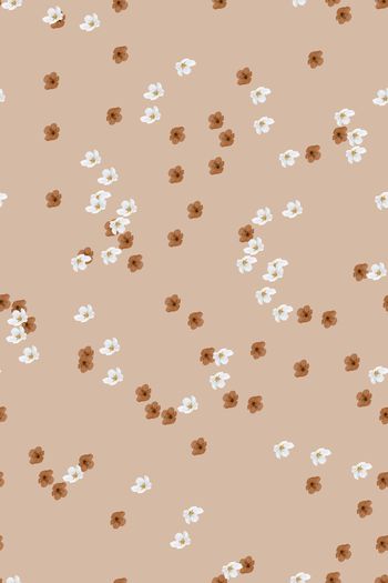 1240734-19080204 - 副本