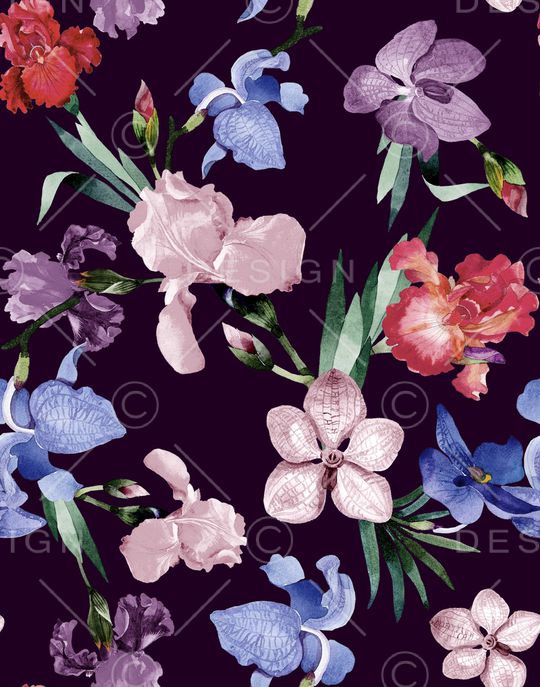 牡丹印花华亿平台图片