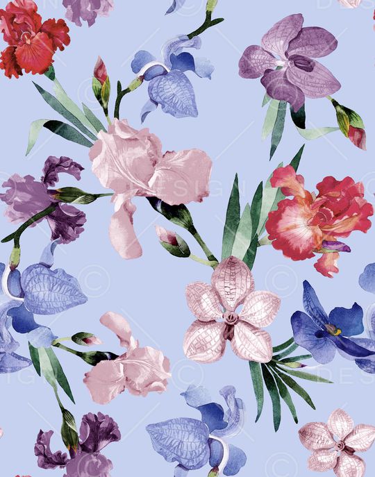 牡丹印花华亿平台图片