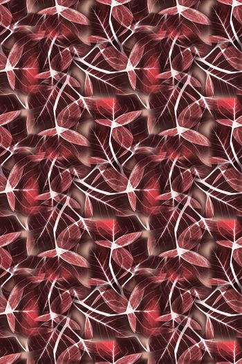 1240958-190806-syyh-9-2