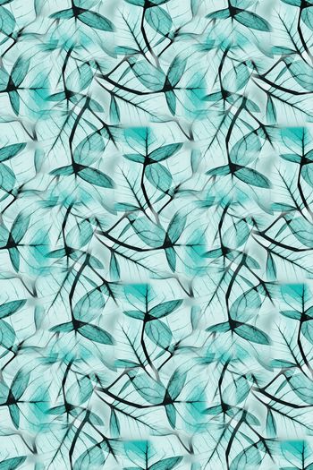 1240959-190806-syyh-9-00