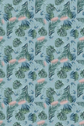 1240964-190806-syyh-11-2