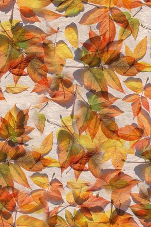 肌理印花华亿平台图片