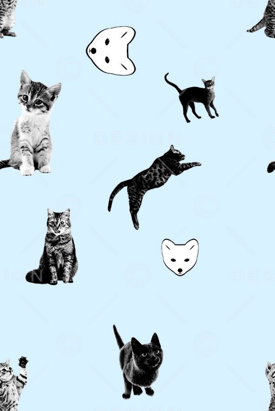 动物印花华亿平台图片