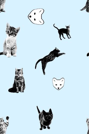 动物印花华亿平台图片