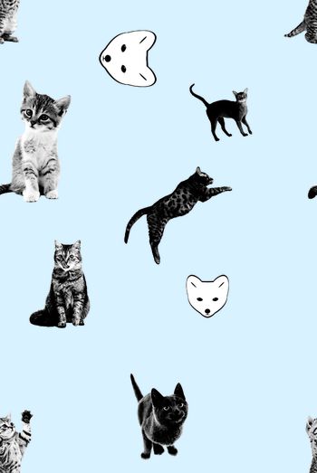 动物印花华亿平台图片