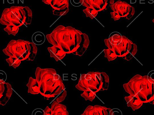 玫瑰花印花华亿平台图片