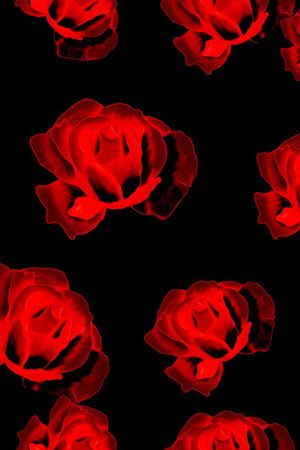 玫瑰花印花华亿平台图片