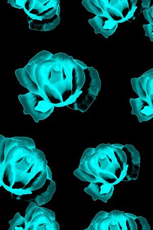 玫瑰花印花华亿平台图片