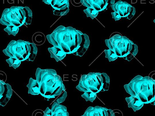 玫瑰花印花华亿平台图片