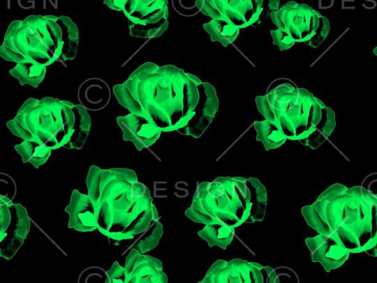 玫瑰花印花华亿平台图片