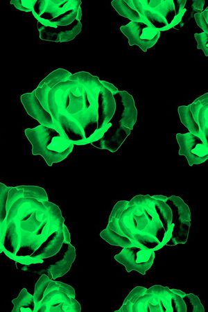 玫瑰花印花华亿平台图片