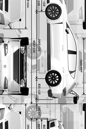 黑白条纹印花华亿平台图片