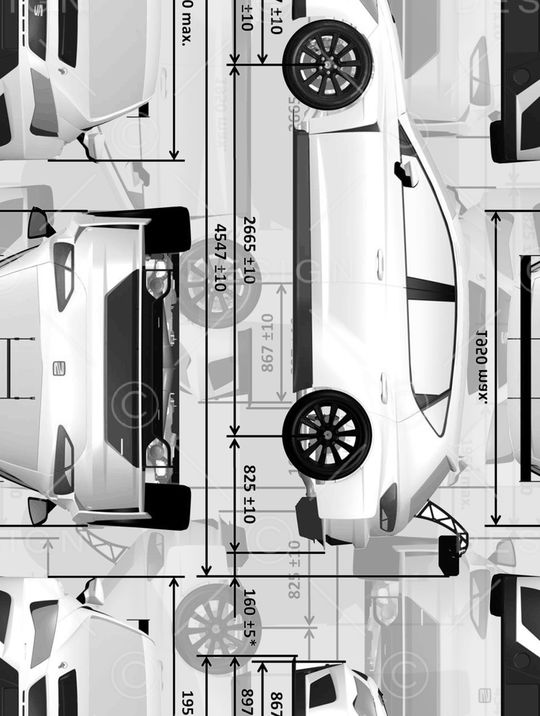 黑白条纹印花华亿平台图片