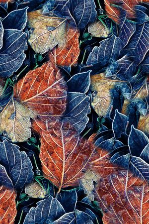 休闲印花华亿平台图片