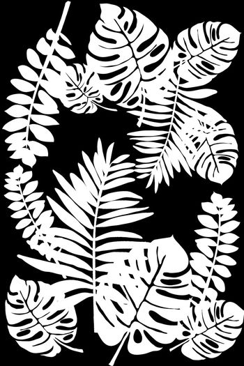 1241657-ins风树叶5