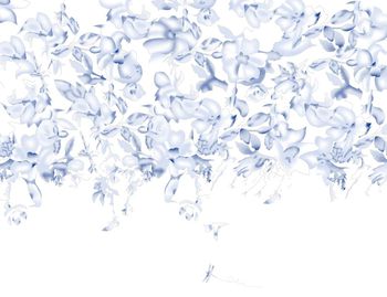 定位花印花华亿平台图片