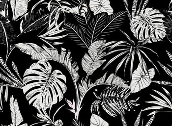 女装印花华亿平台图片