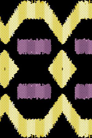 黑底花卉印花华亿平台图片