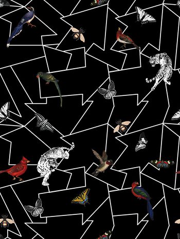 潮牌印花华亿平台图片