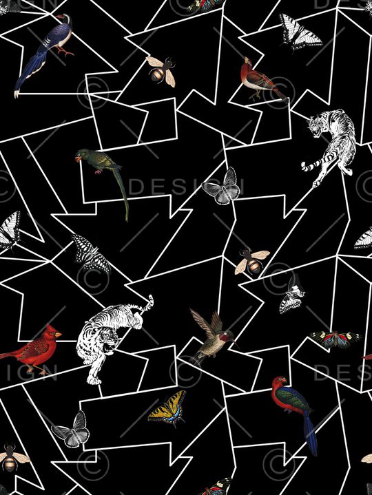 潮牌印花华亿平台图片