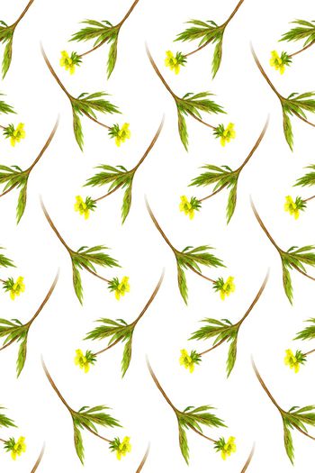 1242531-2019-08-08-A1