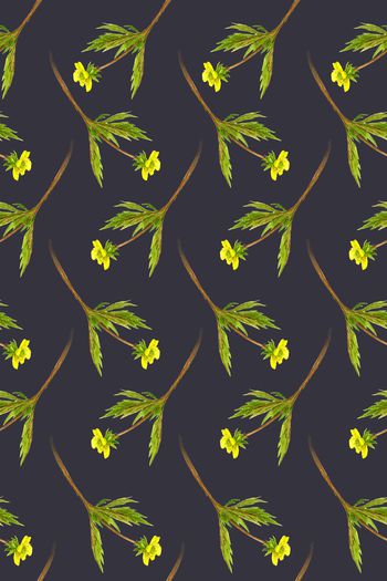 1242534-2019-08-08-C1