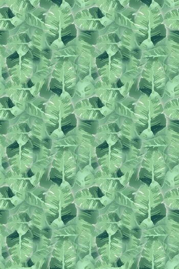 1242878-190806-syyh-17-2