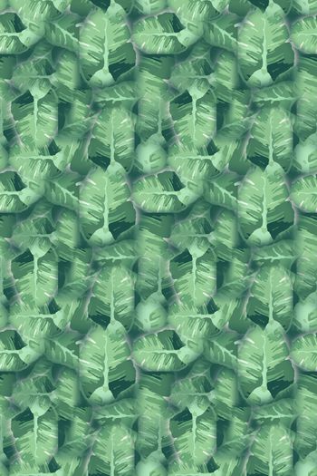 1242879-190806-syyh-17-0