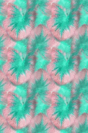 1242891-190806-syyh-21-0