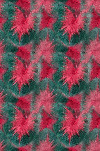 1242892-190806-syyh-21-2