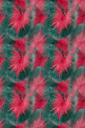 抽象花卉印花华亿平台图片