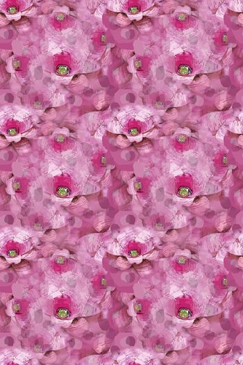 1242899-190806-syyh-24-0