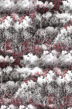 DIOR印花华亿平台图片