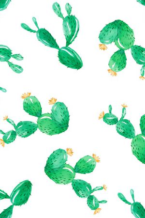 仙人掌印花华亿平台图片