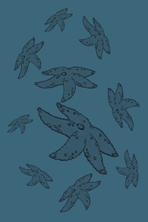 趣味印花华亿平台图片