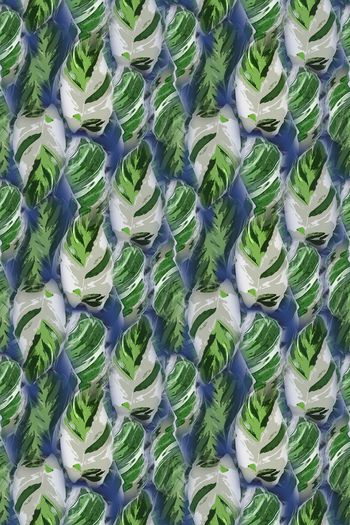 1243794-190806-syyh-22-2