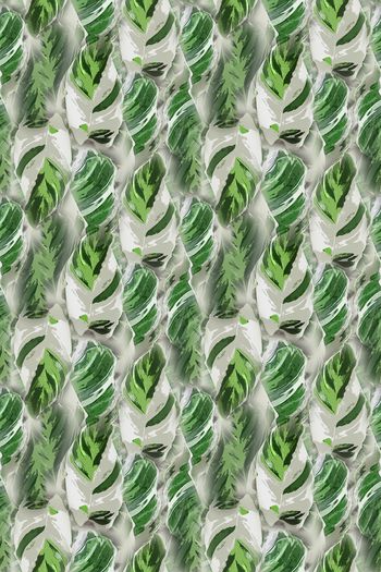 1243795-190806-syyh-22-0