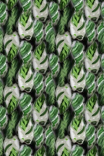 1243796-190806-syyh-22-3