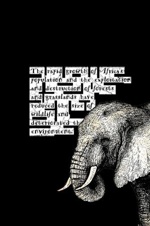 素色印花华亿平台图片