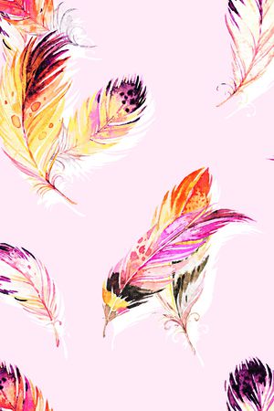 羽毛印花华亿平台图片