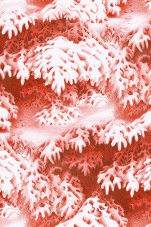 羽绒服印花华亿平台图片