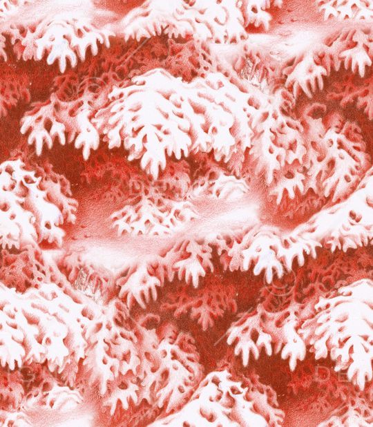 羽绒服印花华亿平台图片