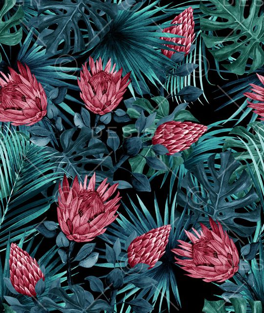 帝王花印花华亿平台图片