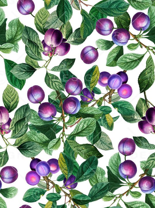 梨印花华亿平台图片