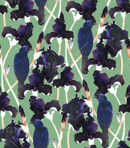 孔雀印花华亿平台图片