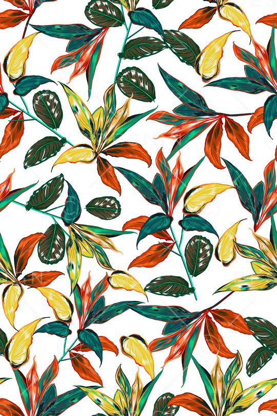 欧美印花华亿平台图片