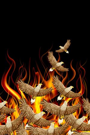 潮牌印花华亿平台图片